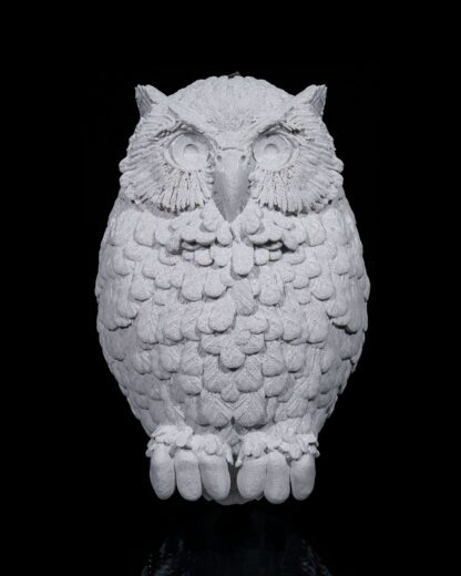 Day Owl - Image 4