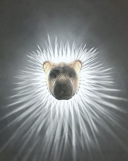 Lion Light